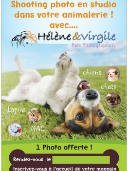 Image de Photographie et Retouche photo 