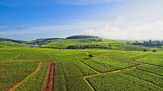 Image de Photographie et Drone 