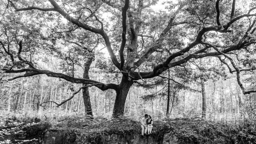 Image de Photographie et Famille 