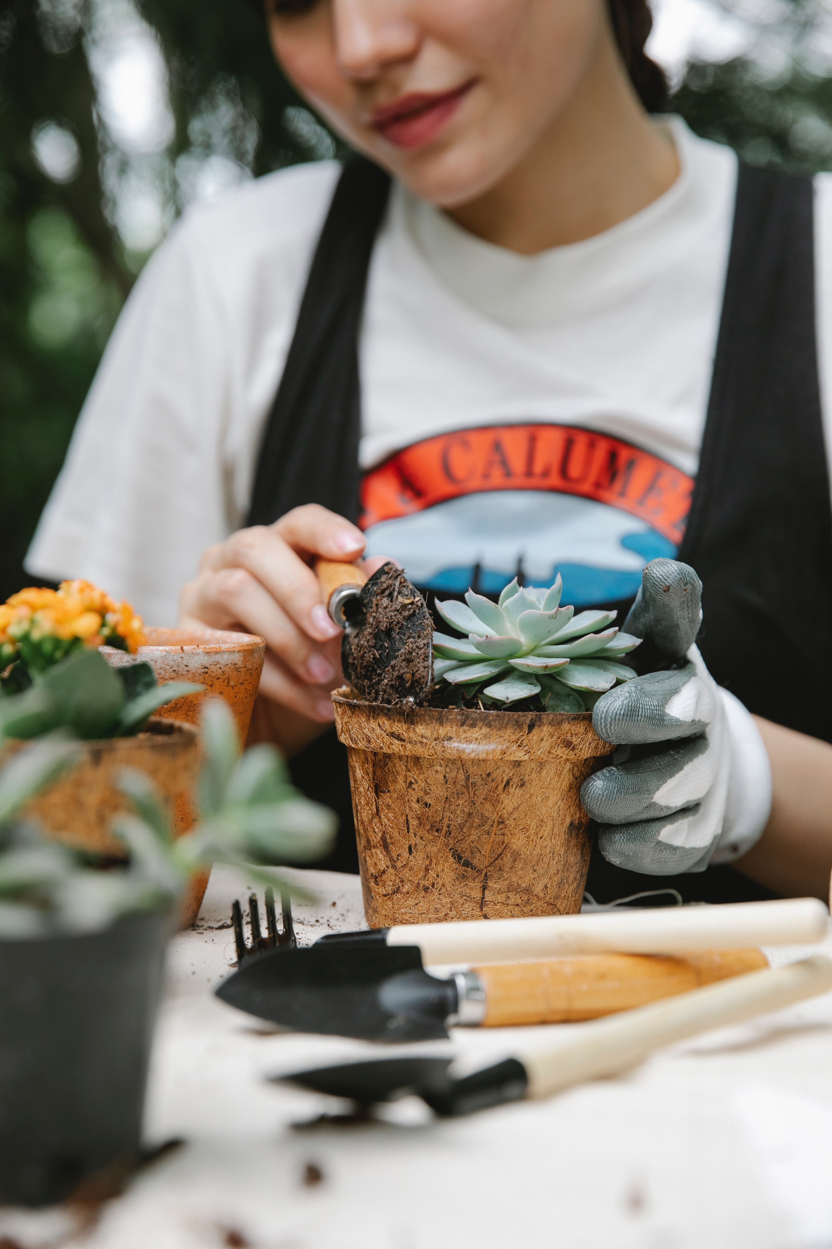 Intégrer un jardin intérieur chez soi 