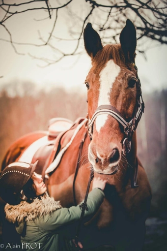 Photographie, Retouche photo, Formation, Animal de compagnie, Nature, Artistique, Traditionnel