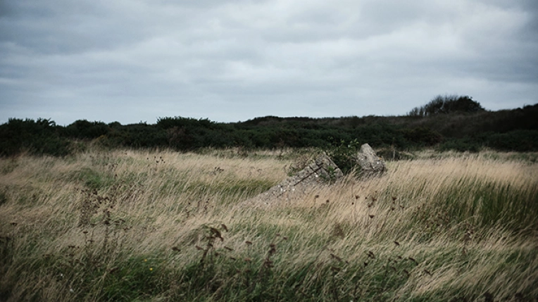 Photographie, Nature, Traditionnel