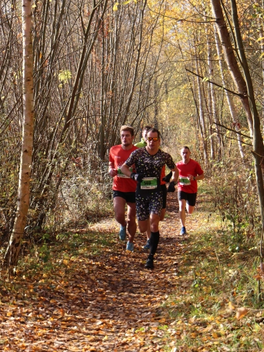 Photographie, Sport, Nature, Traditionnel