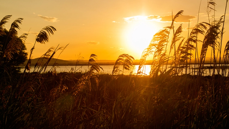 Photographie, Nature, Traditionnel