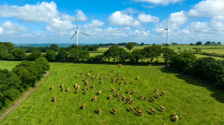 Photographie, Drone, Vue du ciel, Nature, Traditionnel