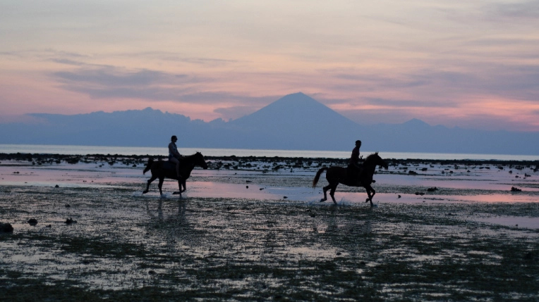 Photography, Nature, Traditional