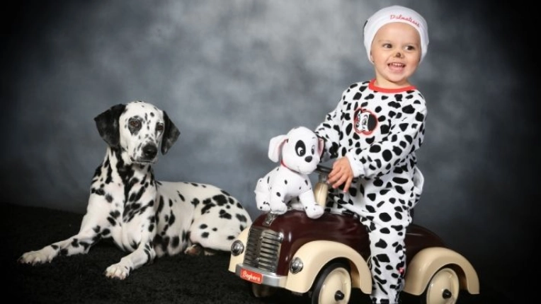 Photographie, Animal de compagnie, Portrait, Traditionnel