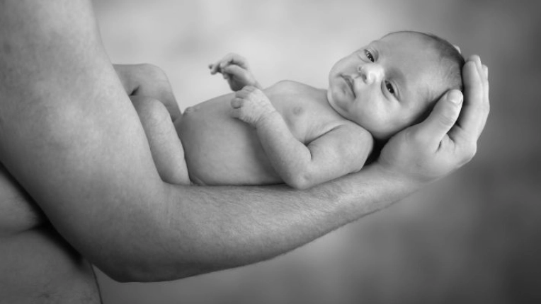 Photographie, Naissance, Traditionnel