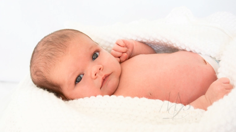 Photographie, Naissance, Traditionnel