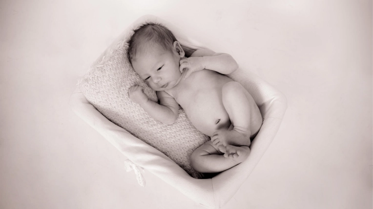 Photographie, Naissance, Traditionnel