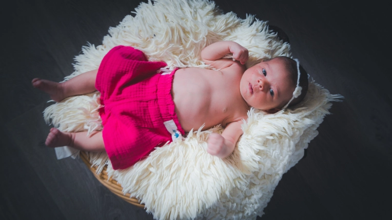 Photographie, Naissance, Lifestyle