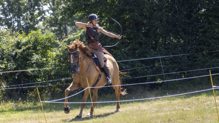 Photographie, Animal de compagnie, Sport, Traditionnel