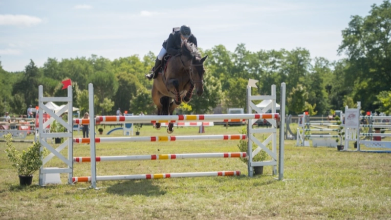 Photographie, Animal de compagnie, Portrait, Evènement, Corporate, Sport, Traditionnel