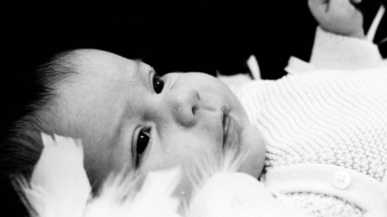 Photography, Maternity, Newborns, Families, Artistic, Traditional