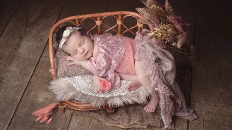 Photographie, Naissance, Traditionnel