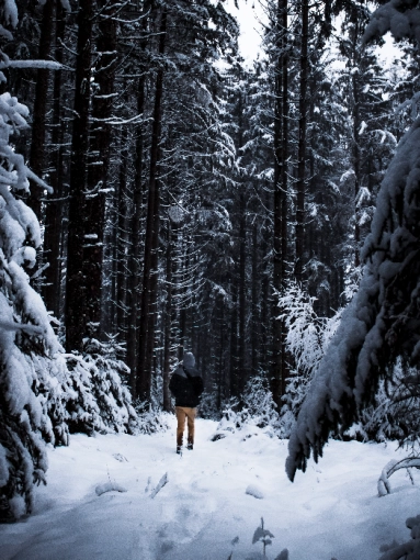 Photographie, Retouche photo, Nature, Artistique