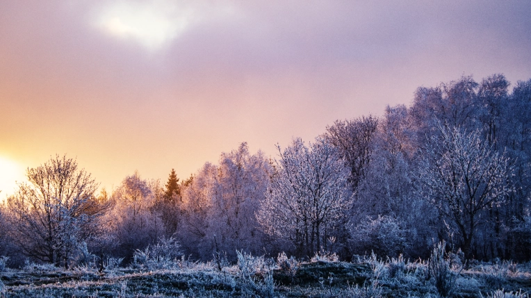 Photographie, Retouche photo, Nature, Artistique