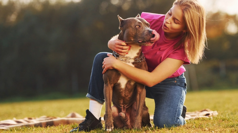 Photographie, Retouche photo, Cours de Photographie, Animal de compagnie, Portrait, Artistique, Traditionnel