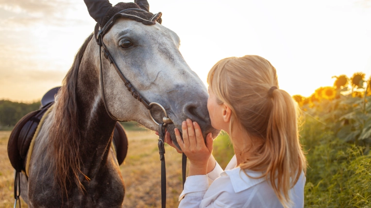 Photographie, Formation, Cours de Photographie, Animal de compagnie, Traditionnel