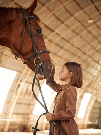 Photographie, Formation, Cours de Photographie, Animal de compagnie, Portrait, Corporate, Traditionnel