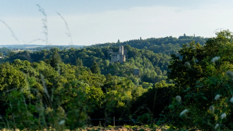 Photographie, Nature, Traditionnel