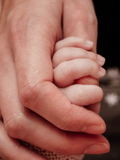 Photographie, Naissance, Traditionnel