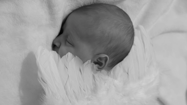 Photographie, Naissance, Traditionnel