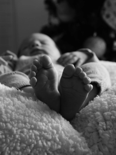 Photographie, Naissance, Traditionnel