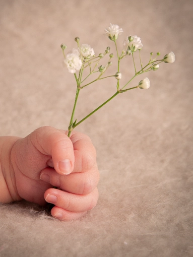 Photographie, Naissance, Artistique, Traditionnel