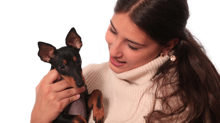 Photographie, Animal de compagnie, Traditionnel