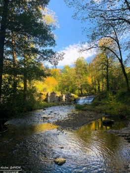 picture of Photography and Nature 