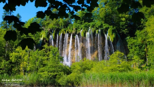 picture of Photography and Nature 