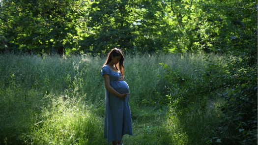 picture of Photography and Maternity 