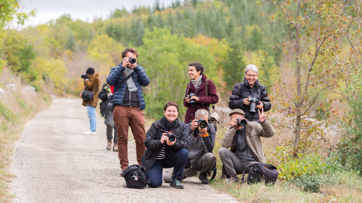 picture of Photography Classes and Newborns 