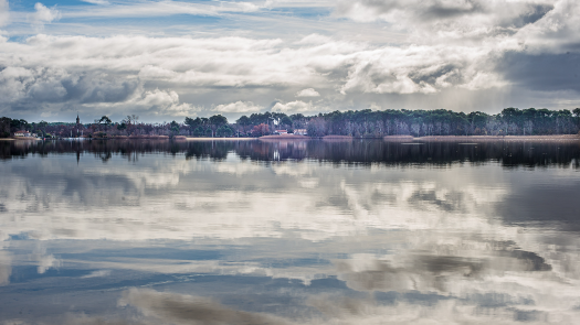 picture of Photography and Nature 