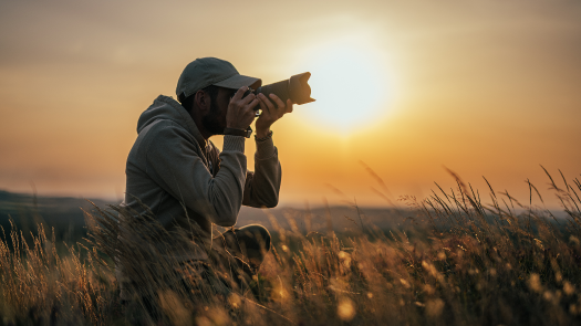 picture of Photography and Portraits 