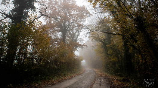 picture of Photography and Nature 