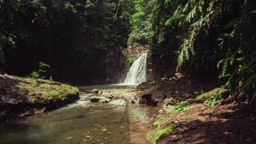 picture of Photography and Nature 