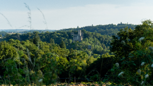 Image de Photographie et Nature 